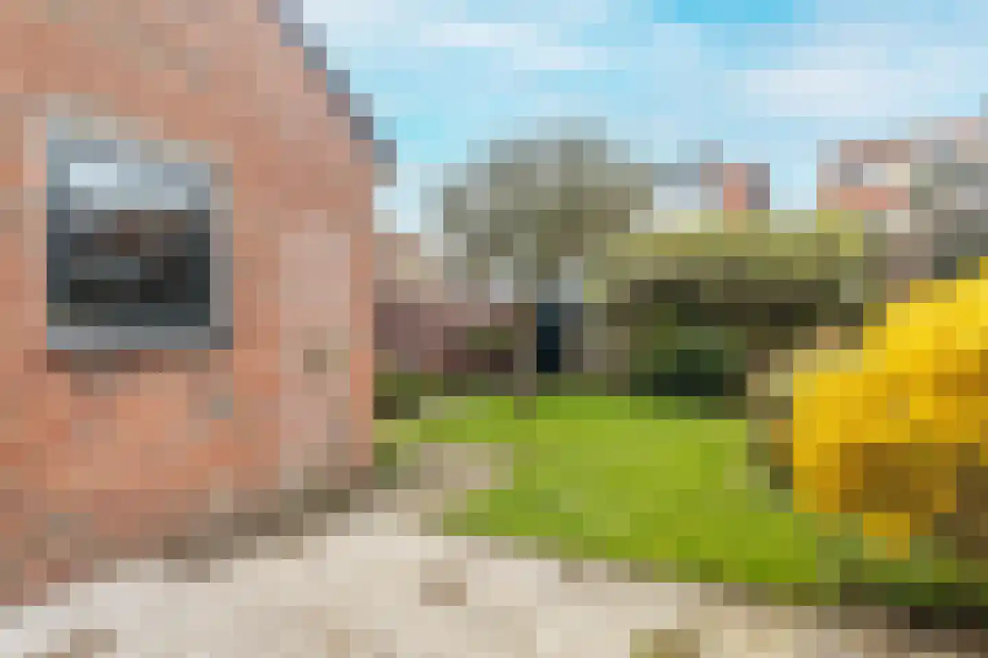 Westertuinen 47 Beverwijk thumbnail 19