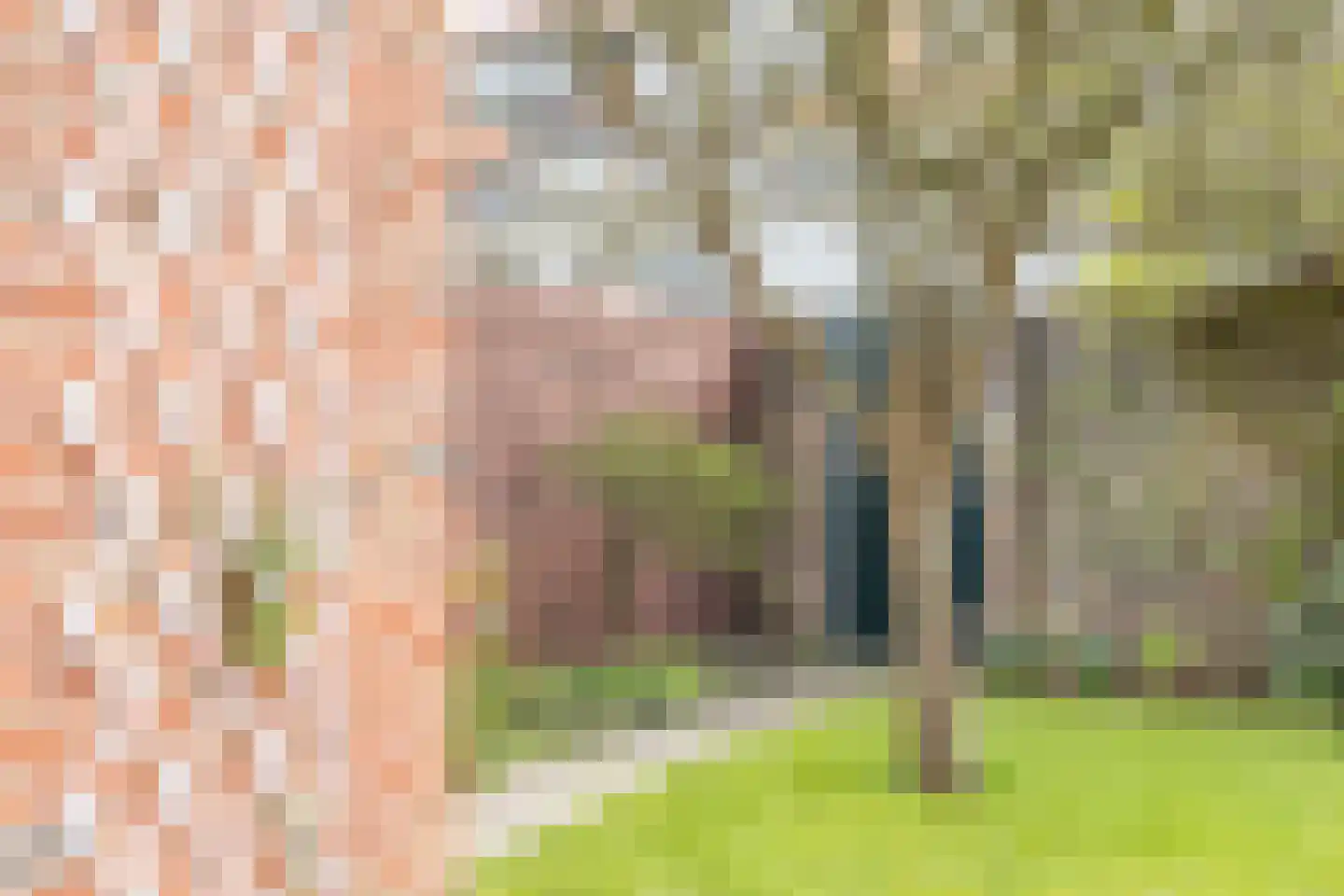 Westertuinen 47 Beverwijk thumbnail 21