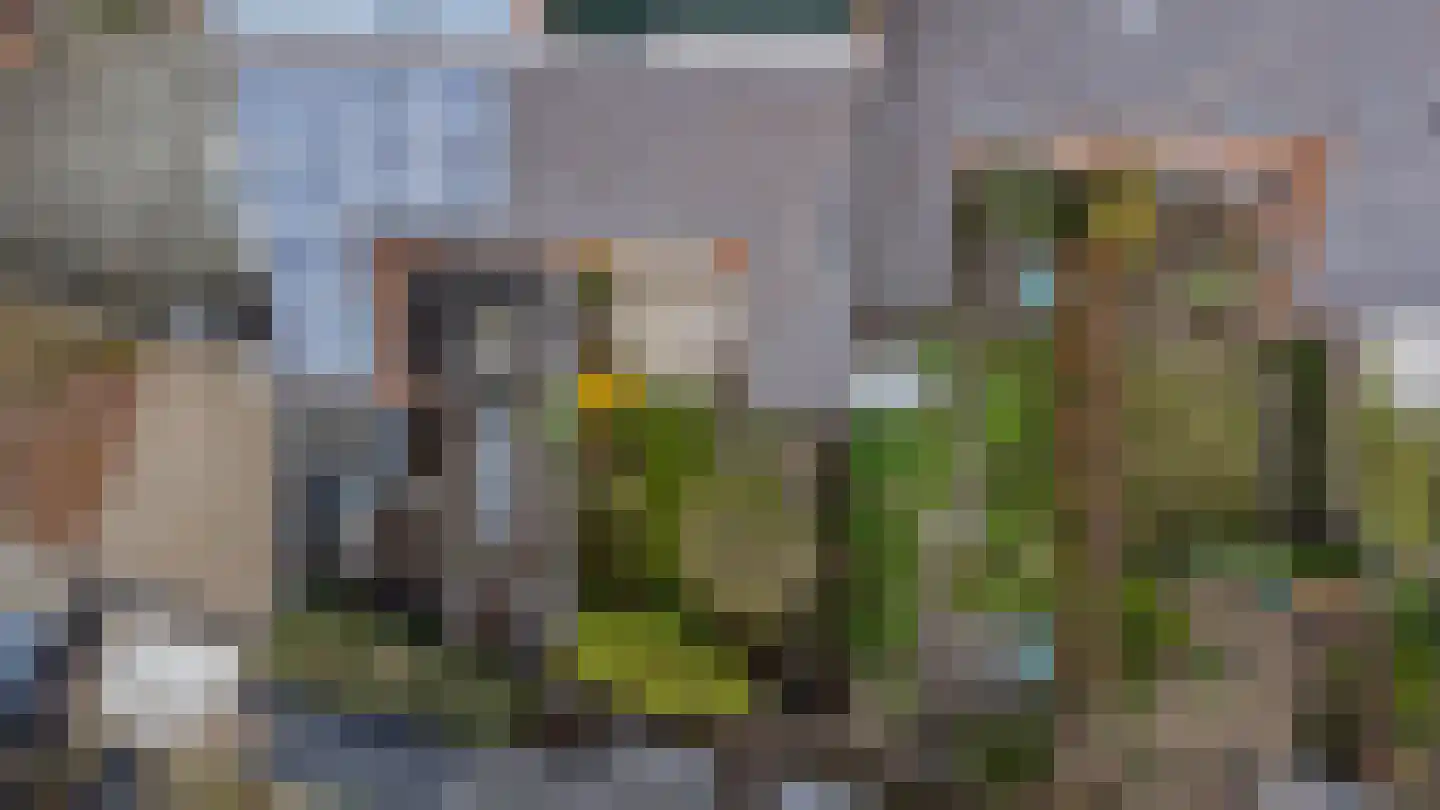 Westertuinen 47 Beverwijk thumbnail 46