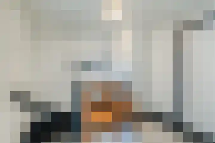 Westervalge 1 Warffum thumbnail 16