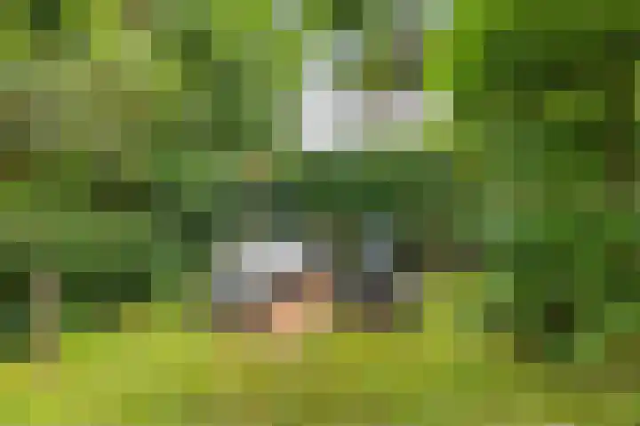 Westervalge 1 Warffum thumbnail 26