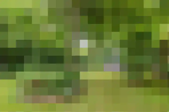 Westervalge 1 Warffum thumbnail 27