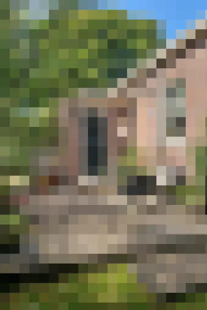 Westervalge 1 Warffum thumbnail 28