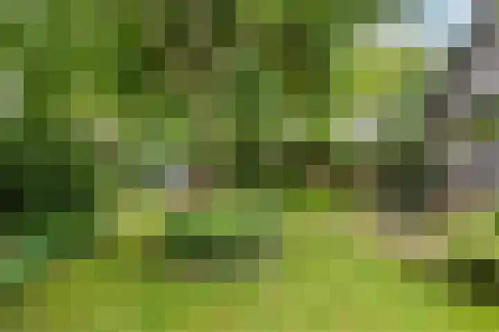Westervalge 1 Warffum thumbnail 29