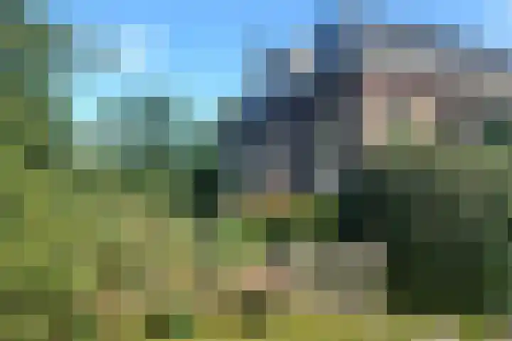 Westervalge 1 Warffum foto 3