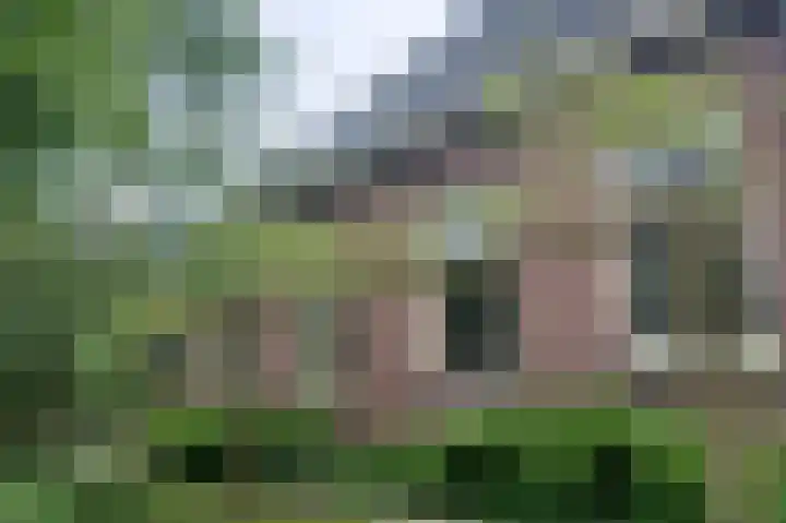 Westervalge 1 Warffum thumbnail 30