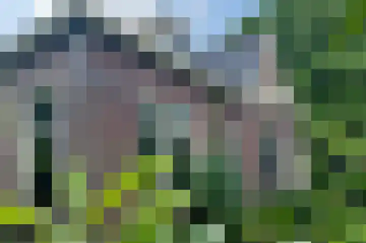 Westervalge 1 Warffum thumbnail 31