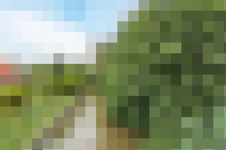 Westervalge 1 Warffum thumbnail 33