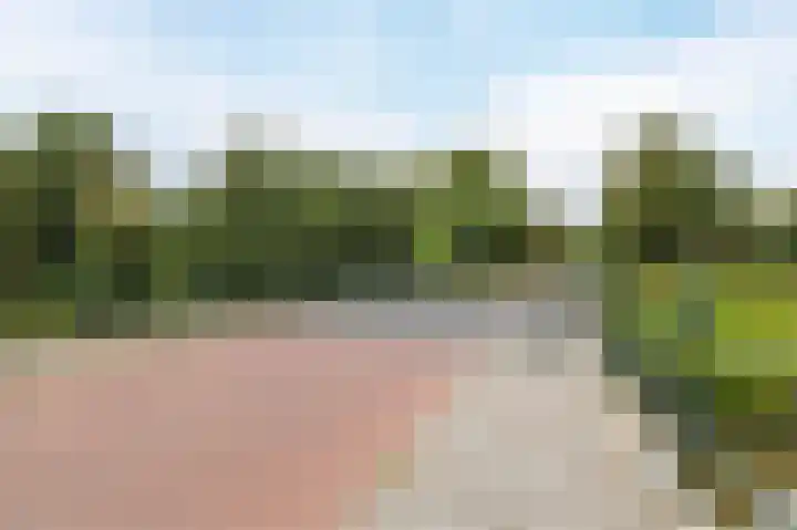 Westervalge 1 Warffum thumbnail 35