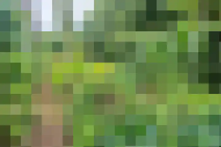 Westervalge 1 Warffum thumbnail 4