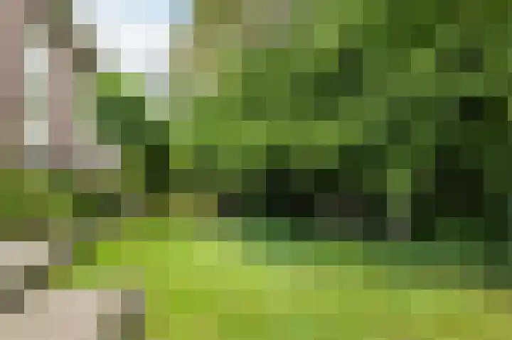 Westervalge 1 Warffum thumbnail 5
