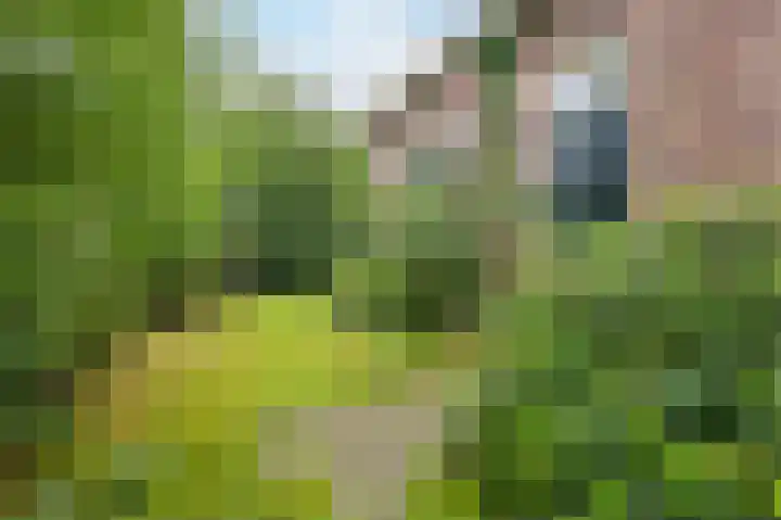 Westervalge 1 Warffum thumbnail 6