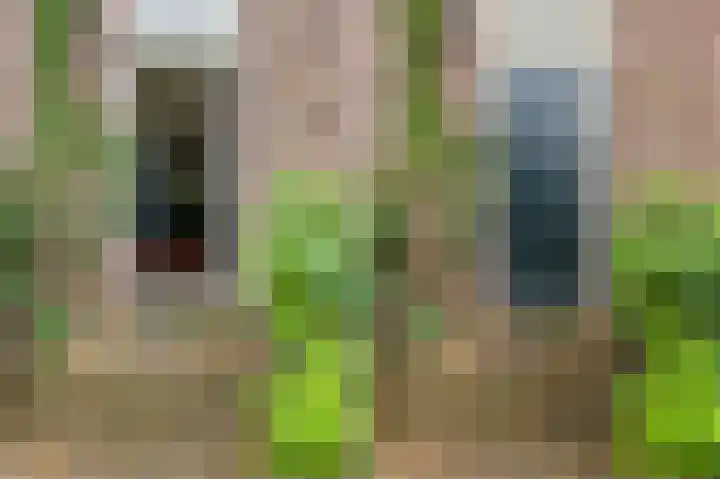 Westervalge 1 Warffum thumbnail 7