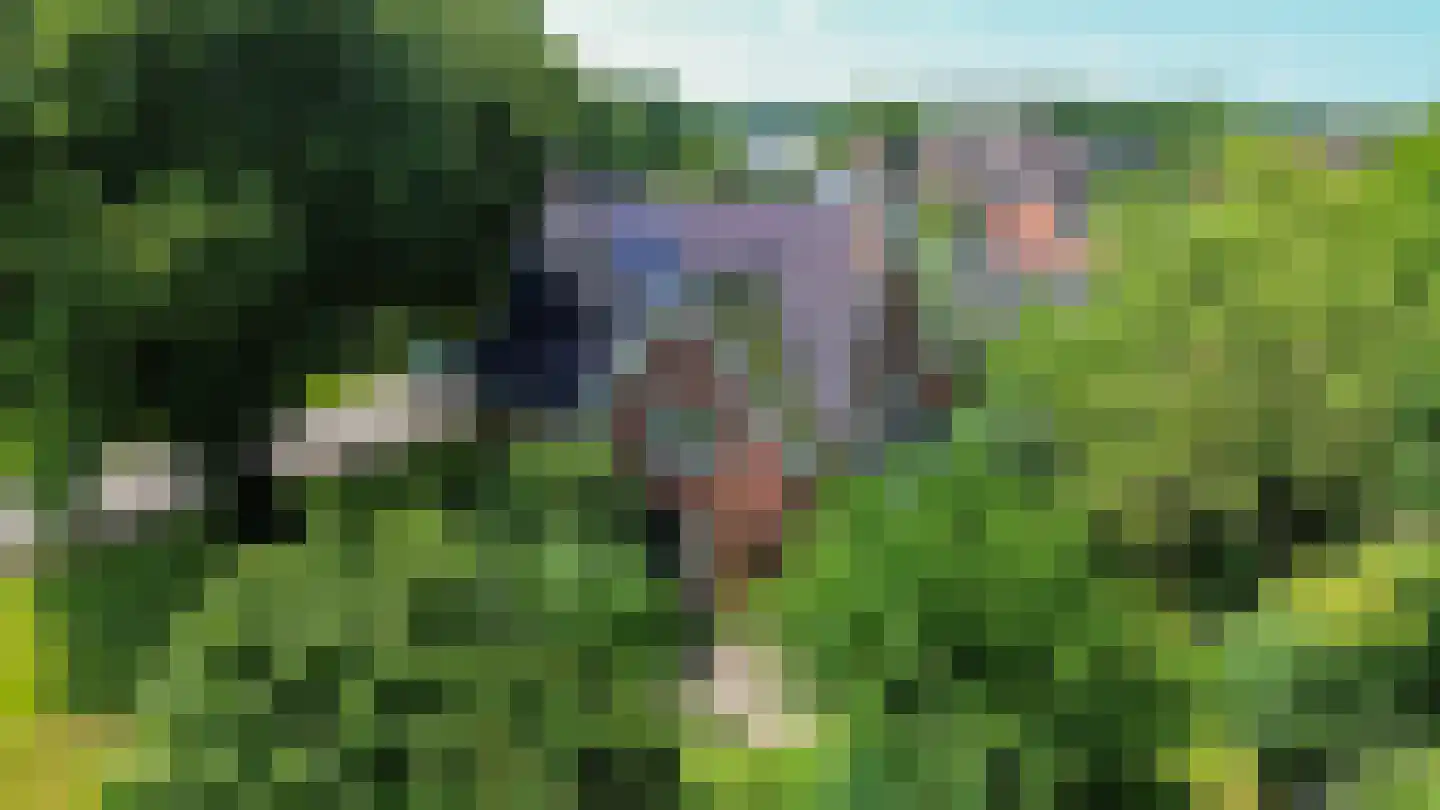 Westervalge 20 Warffum