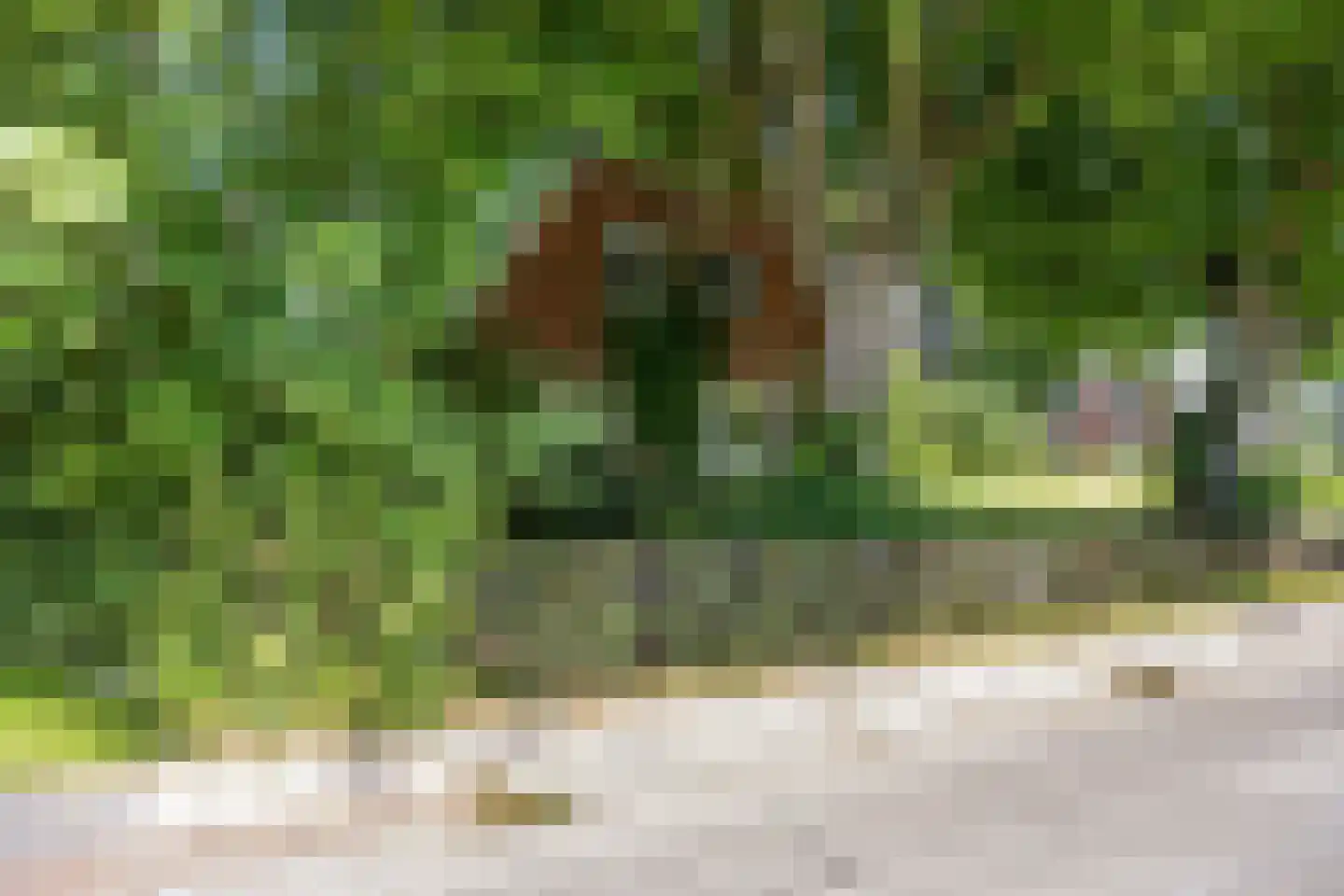 Westervalge 20 Warffum thumbnail 11