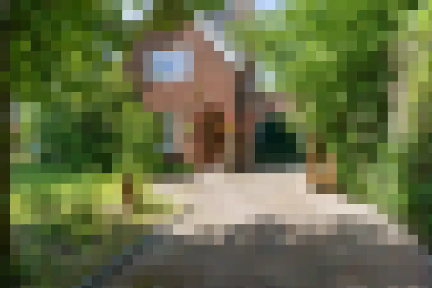Westervalge 20 Warffum thumbnail 4