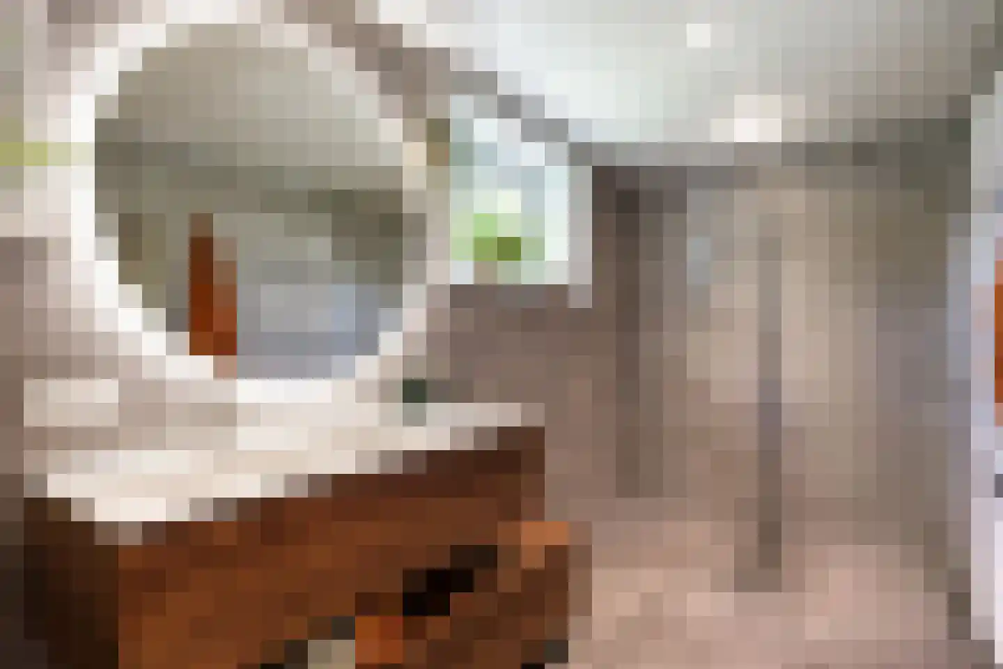 Westervalge 20 Warffum thumbnail 40
