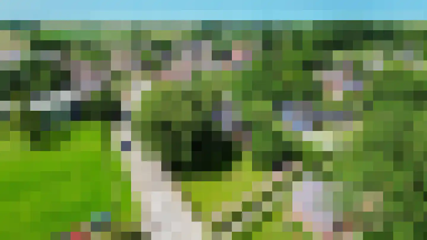 Westervalge 20 Warffum thumbnail 5