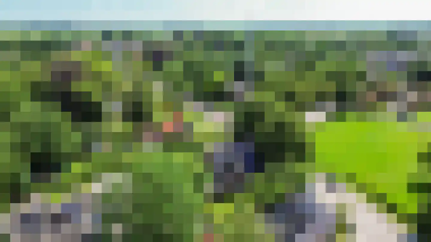 Westervalge 20 Warffum thumbnail 6