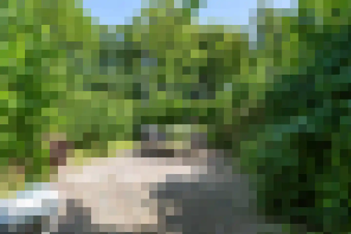 Westervalge 20 Warffum thumbnail 66