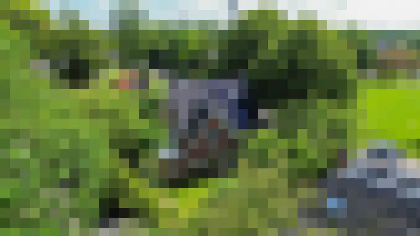 Westervalge 20 Warffum thumbnail 7