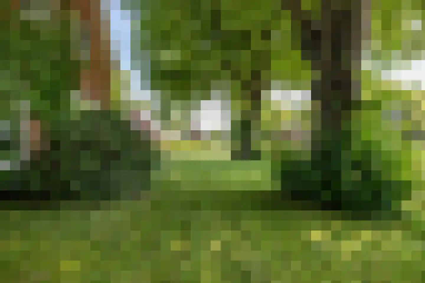 Westervalge 20 Warffum thumbnail 71