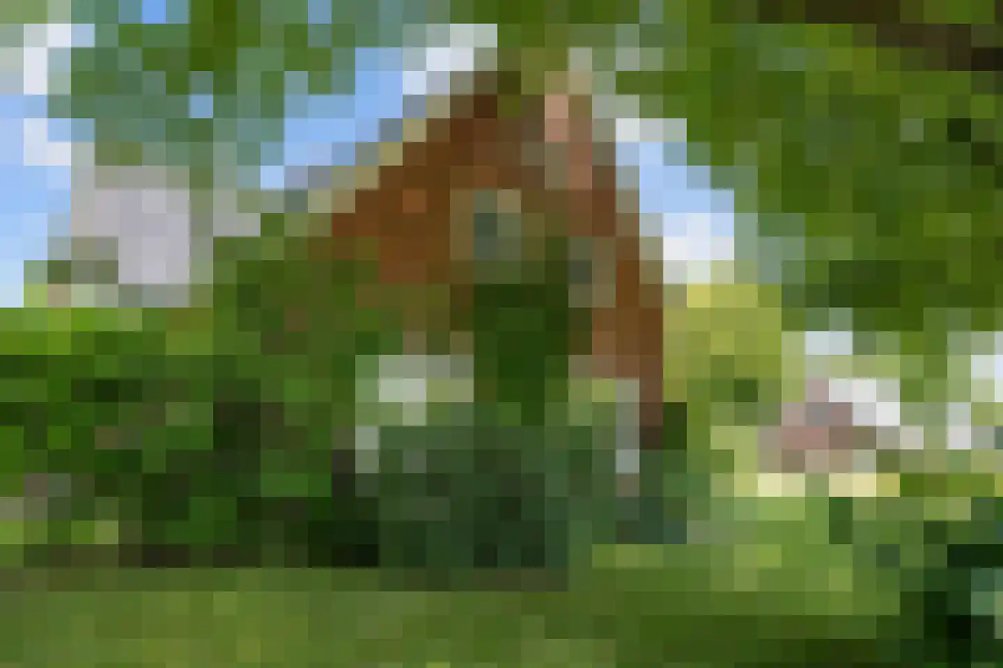 Westervalge 20 Warffum thumbnail 72
