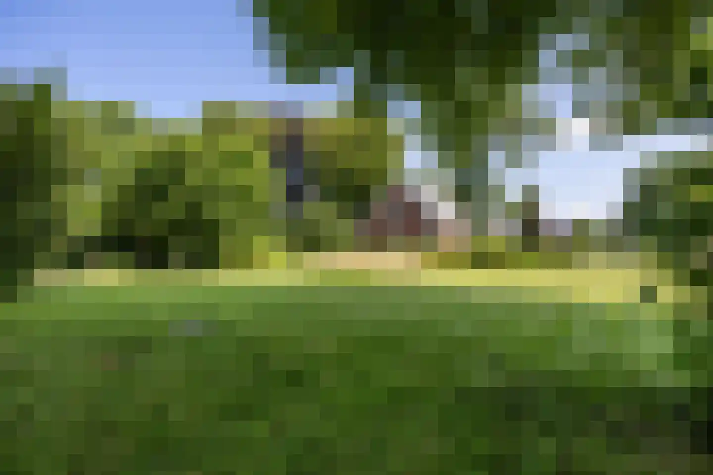 Westervalge 20 Warffum thumbnail 73