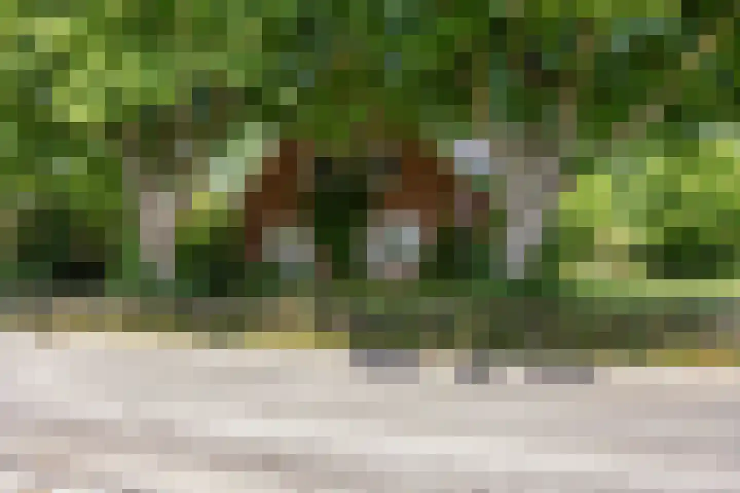Westervalge 20 Warffum thumbnail 9