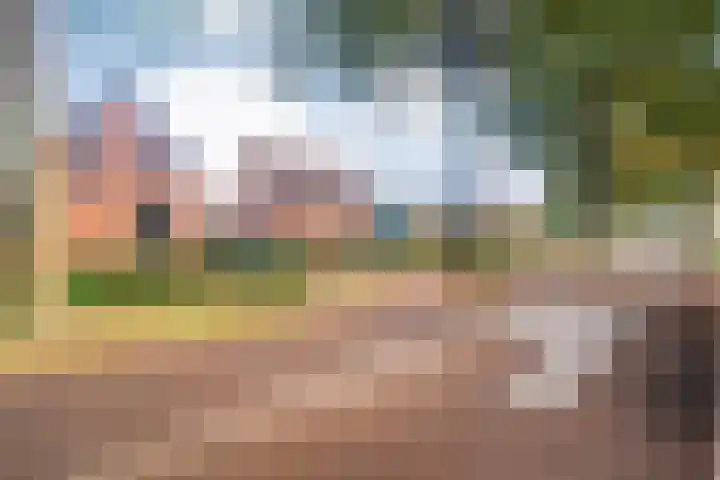 Westerveen 18 Nieuwleusen thumbnail 12