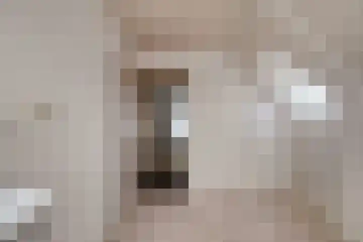 Westerveen 18 Nieuwleusen thumbnail 35