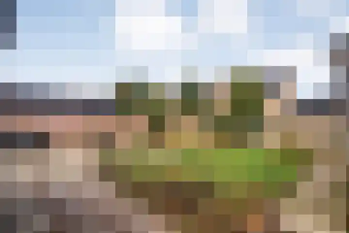 Westerveen 18 Nieuwleusen thumbnail 4