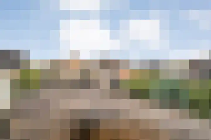 Westerveen 18 Nieuwleusen thumbnail 40