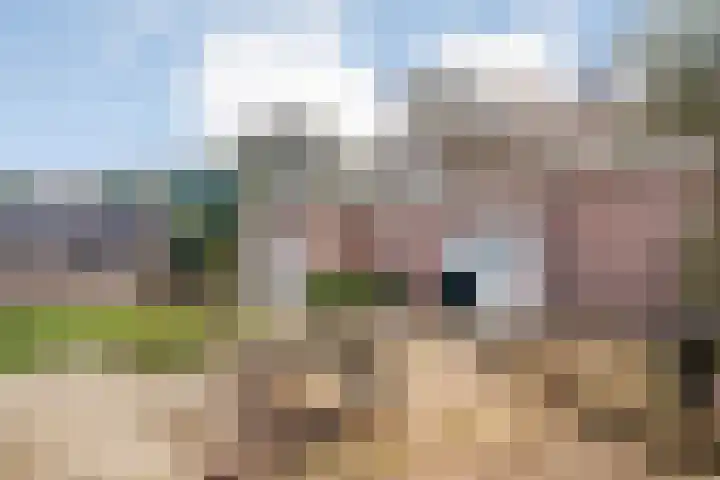 Westerveen 18 Nieuwleusen thumbnail 42