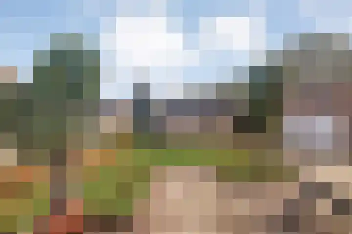 Westerveen 18 Nieuwleusen thumbnail 43