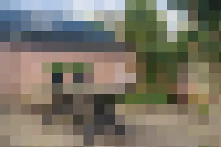 Westerveen 18 Nieuwleusen thumbnail 44