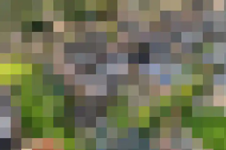 Westerveen 18 Nieuwleusen thumbnail 8