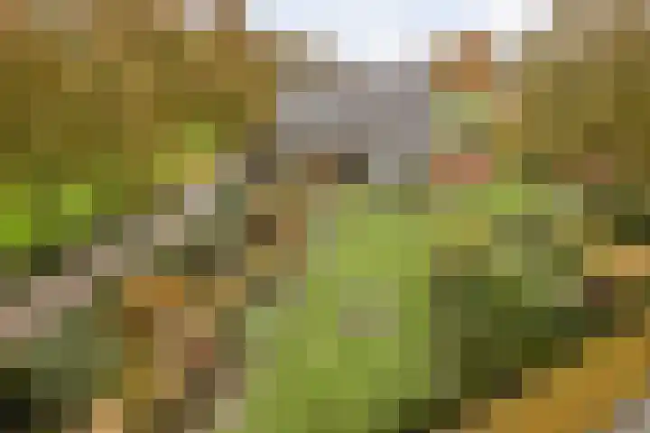 Westerveen 41 A Nieuwleusen thumbnail 4