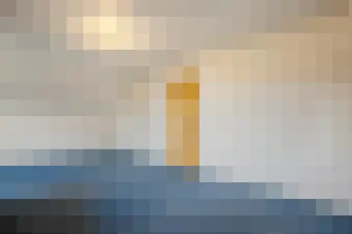 Westerveen 41 A Nieuwleusen thumbnail 41