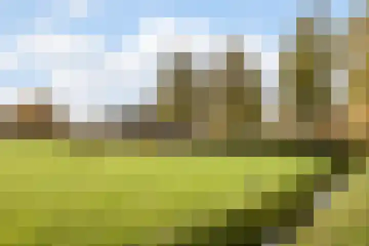 Westerveen 41 A Nieuwleusen thumbnail 5