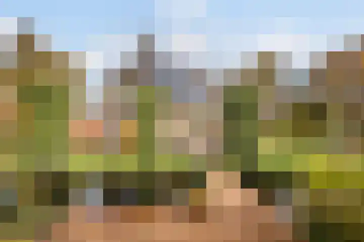 Westerveen 41 A Nieuwleusen thumbnail 57