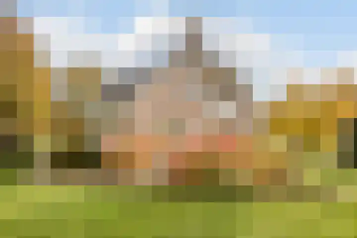 Westerveen 41 A Nieuwleusen thumbnail 58