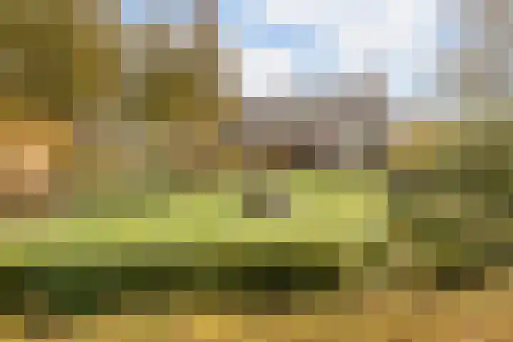 Westerveen 41 A Nieuwleusen thumbnail 6