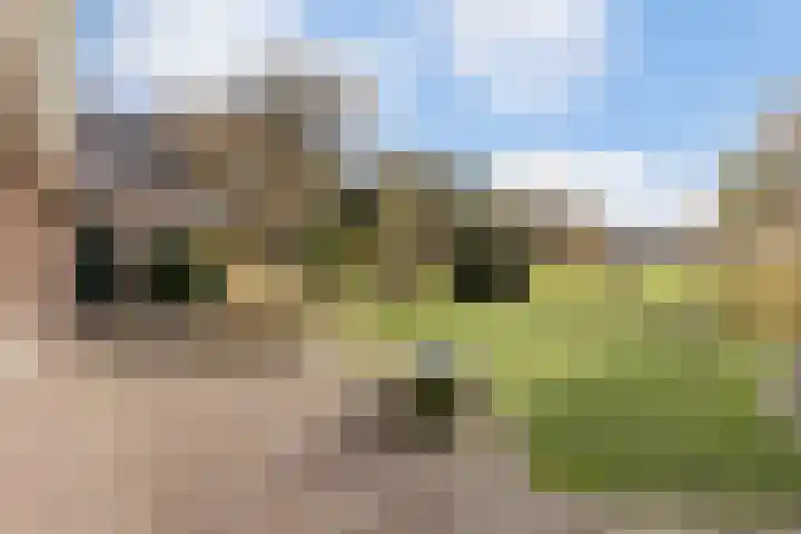 Westerveen 41 A Nieuwleusen thumbnail 63