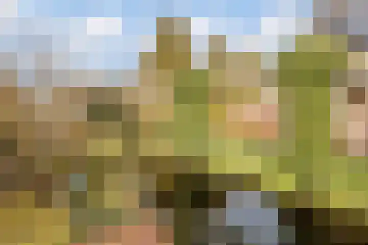 Westerveen 41 A Nieuwleusen thumbnail 66
