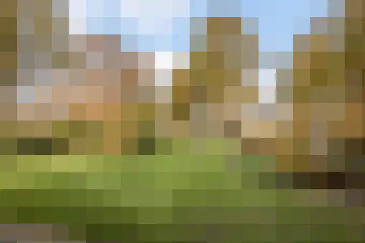 Westerveen 41 A Nieuwleusen thumbnail 69