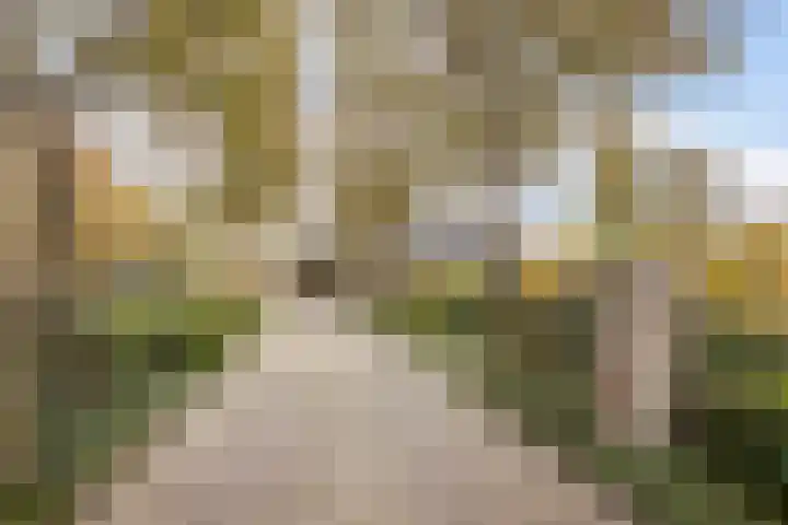 Westerveen 41 A Nieuwleusen thumbnail 7