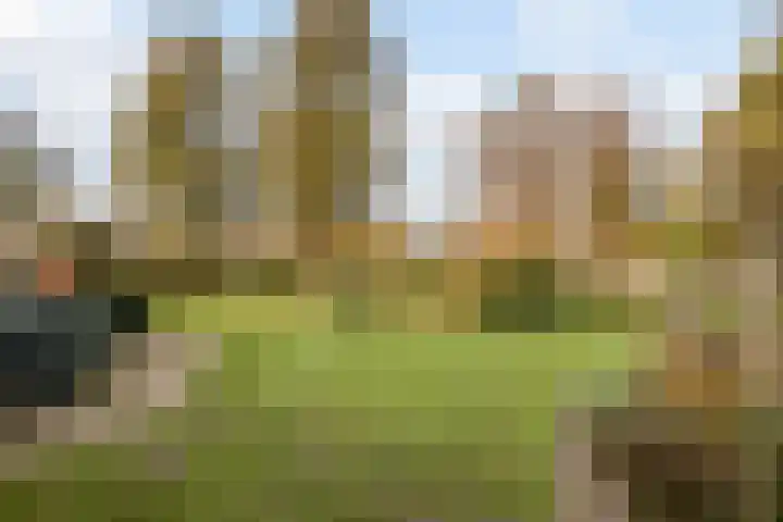 Westerveen 41 A Nieuwleusen thumbnail 70