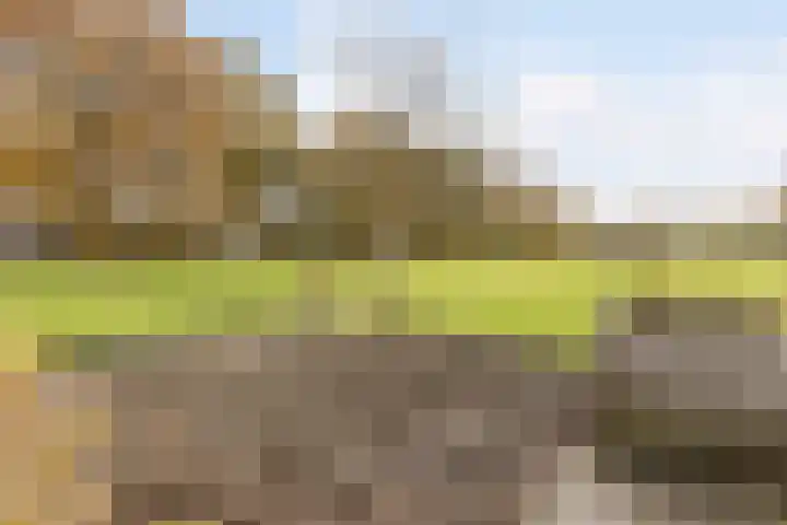 Westerveen 41 A Nieuwleusen thumbnail 71