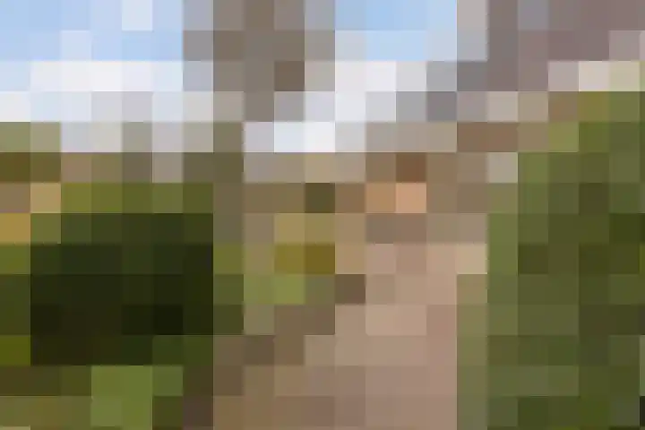 Westerveen 41 A Nieuwleusen thumbnail 73